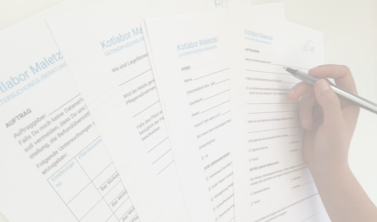 Vorschaubild_Formular_weiss